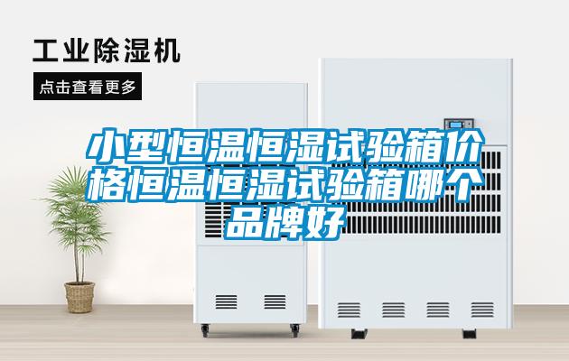 小型恒溫恒濕試驗箱價(jià)格恒溫恒濕試驗箱哪個(gè)品牌好