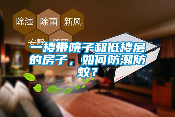 一樓帶院子和低樓層的房子，如何防潮防蚊？
