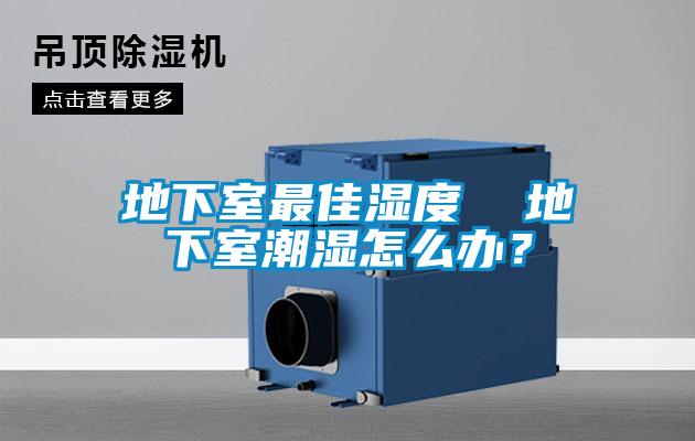 地下室最佳濕度  地下室潮濕怎么辦？