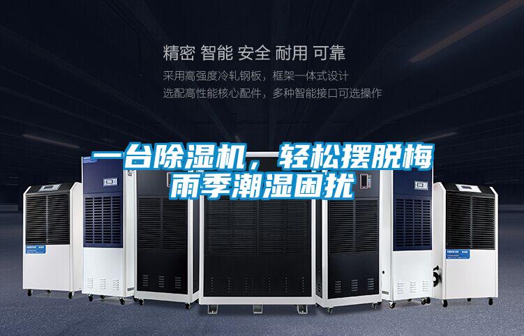 一臺除濕機，輕松擺脫梅雨季潮濕困擾