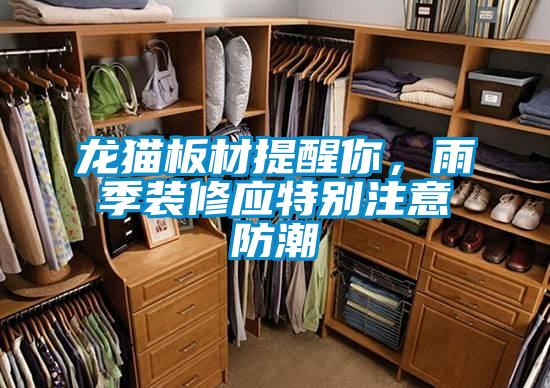 龍貓板材提醒你，雨季裝修應特別注意防潮