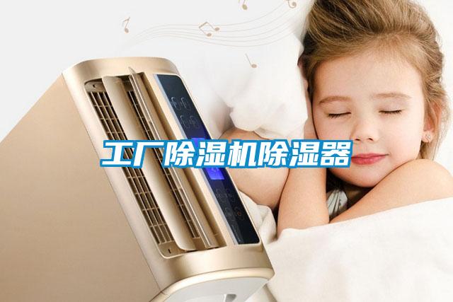 工廠(chǎng)除濕機除濕器