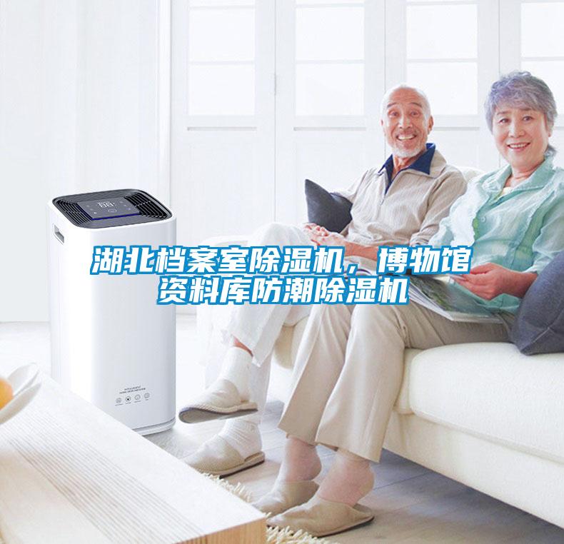 湖北檔案室除濕機，博物館資料庫防潮除濕機