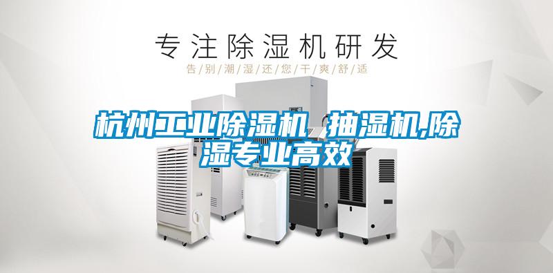 杭州工業(yè)除濕機 抽濕機,除濕專(zhuān)業(yè)高效
