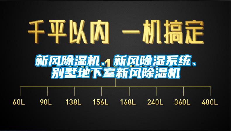 新風(fēng)除濕機、新風(fēng)除濕系統、別墅地下室新風(fēng)除濕機