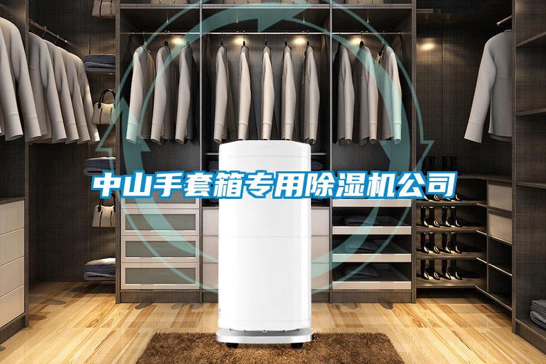 中山手套箱專(zhuān)用除濕機公司