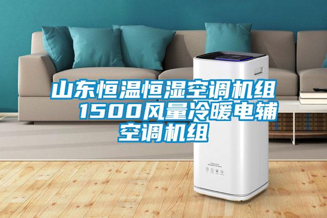 山東恒溫恒濕空調機組  1500風(fēng)量冷暖電輔空調機組