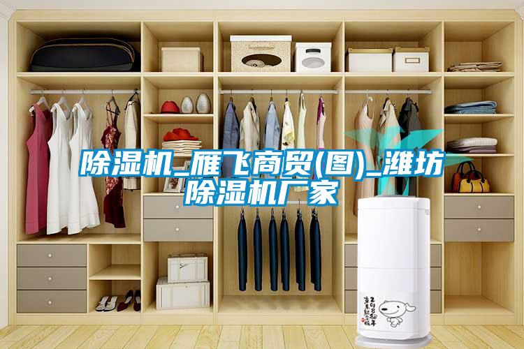 除濕機_雁飛商貿(圖)_濰坊除濕機廠(chǎng)家