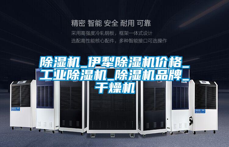除濕機_伊犁除濕機價(jià)格_工業(yè)除濕機_除濕機品牌_干燥機