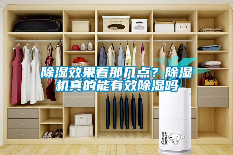 除濕效果看那幾點(diǎn)？除濕機真的能有效除濕嗎
