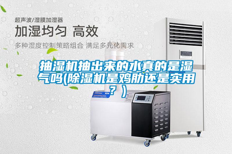 抽濕機抽出來(lái)的水真的是濕氣嗎(除濕機是雞肋還是實(shí)用？)