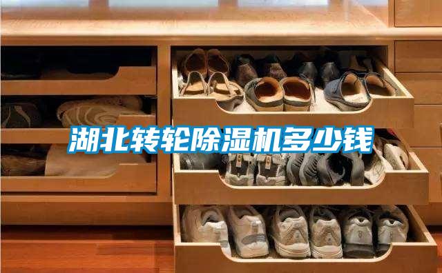 湖北轉輪除濕機多少錢(qián)