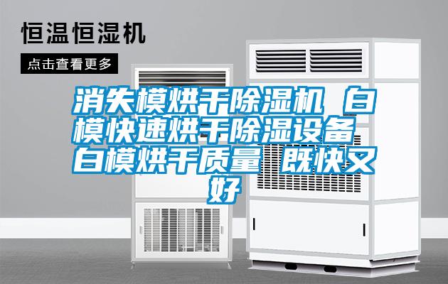 消失模烘干除濕機 白?？焖俸娓沙凉裨O備 白模烘干質(zhì)量 既快又好