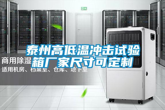 泰州高低溫沖擊試驗箱廠(chǎng)家尺寸可定制