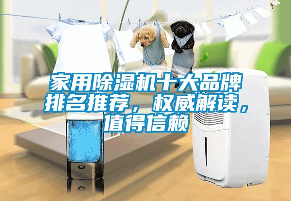 家用除濕機十大品牌排名推薦，權威解讀，值得信賴(lài)