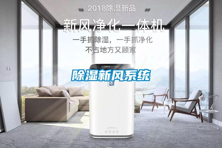 除濕新風(fēng)系統