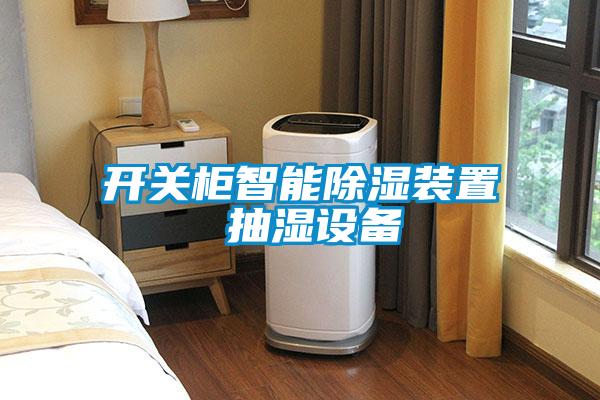 開(kāi)關(guān)柜智能除濕裝置 抽濕設備