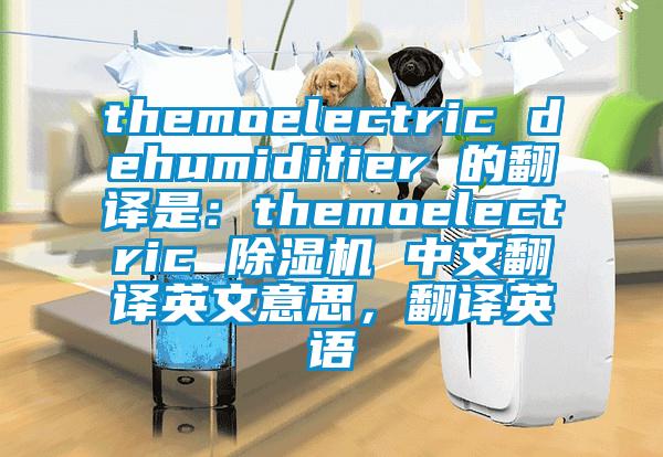 themoelectric dehumidifier 的翻譯是：themoelectric 除濕機 中文翻譯英文意思，翻譯英語(yǔ)