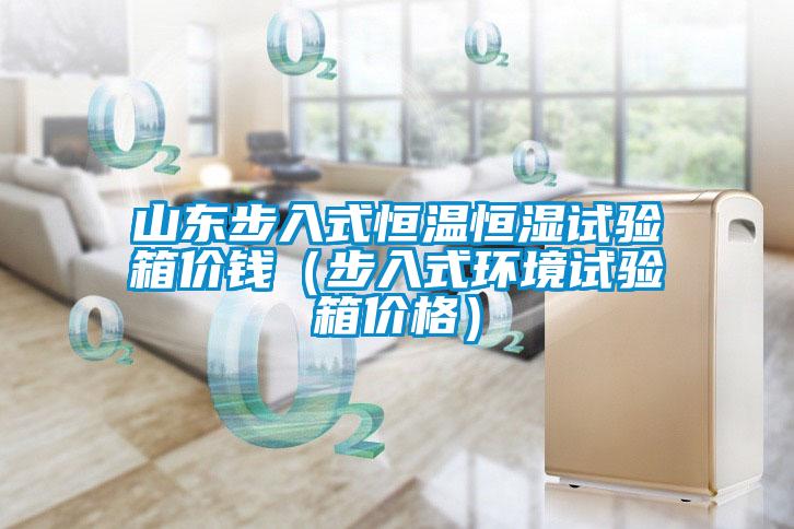 山東步入式恒溫恒濕試驗箱價(jià)錢(qián)（步入式環(huán)境試驗箱價(jià)格）