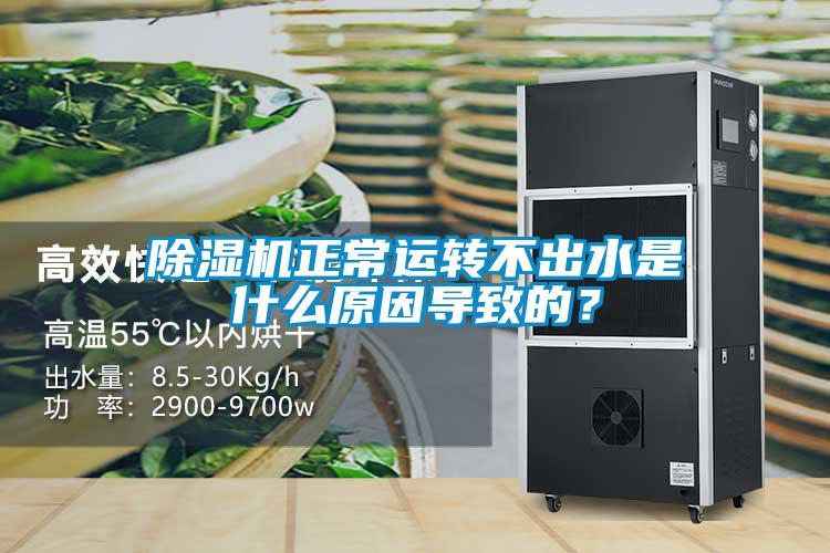 除濕機正常運轉不出水是什么原因導致的？