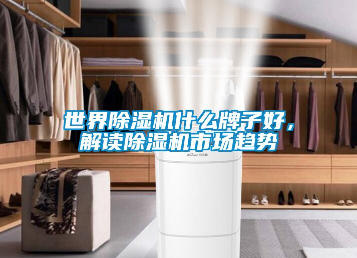 世界除濕機什么牌子好，解讀除濕機市場(chǎng)趨勢