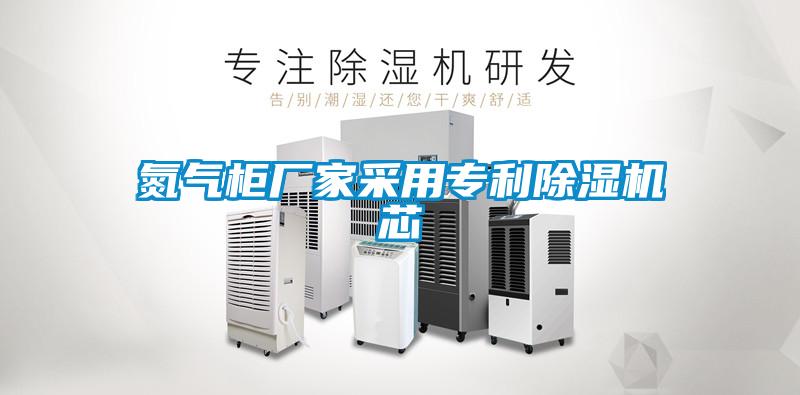 氮氣柜廠(chǎng)家采用專(zhuān)利除濕機芯