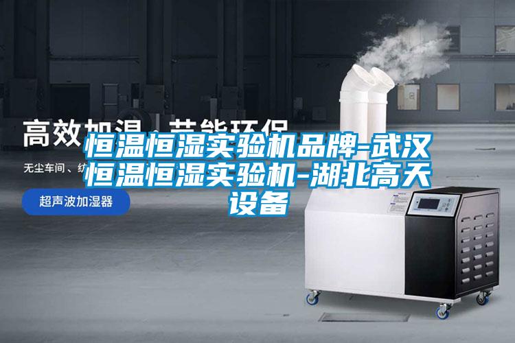 恒溫恒濕實(shí)驗機品牌-武漢恒溫恒濕實(shí)驗機-湖北高天設備