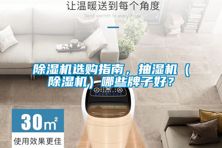 除濕機選購指南，抽濕機（除濕機）哪些牌子好？