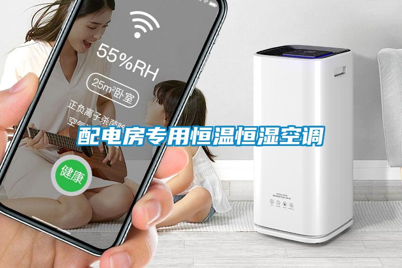 配電房專(zhuān)用恒溫恒濕空調