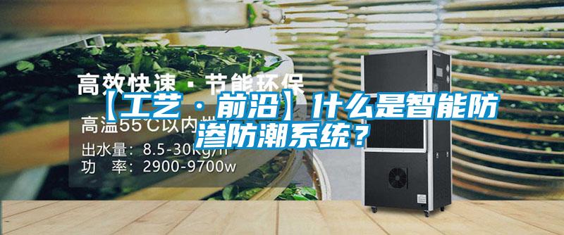 【工藝·前沿】什么是智能防滲防潮系統？
