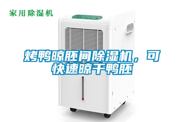 烤鴨晾胚間除濕機，可快速晾干鴨胚