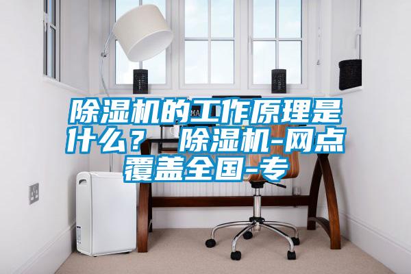 除濕機的工作原理是什么？ 除濕機-網(wǎng)點(diǎn)覆蓋全國-專(zhuān)