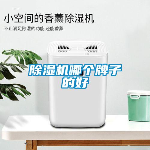 除濕機哪個(gè)牌子的好
