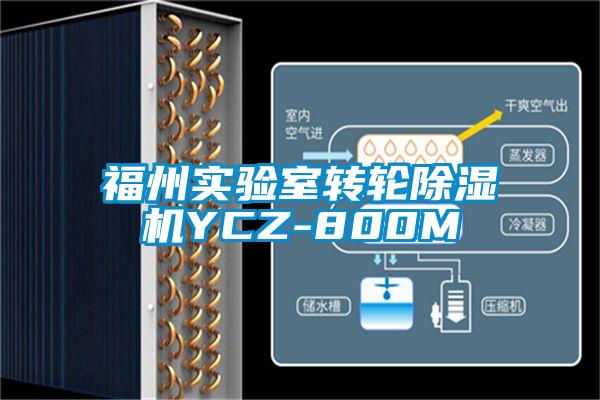福州實(shí)驗室轉輪除濕機YCZ-800M