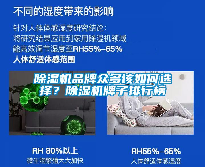 除濕機品牌眾多該如何選擇？除濕機牌子排行榜