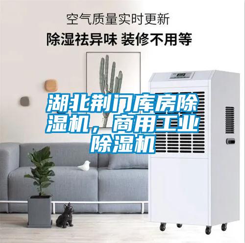 湖北荊門(mén)庫房除濕機，商用工業(yè)除濕機