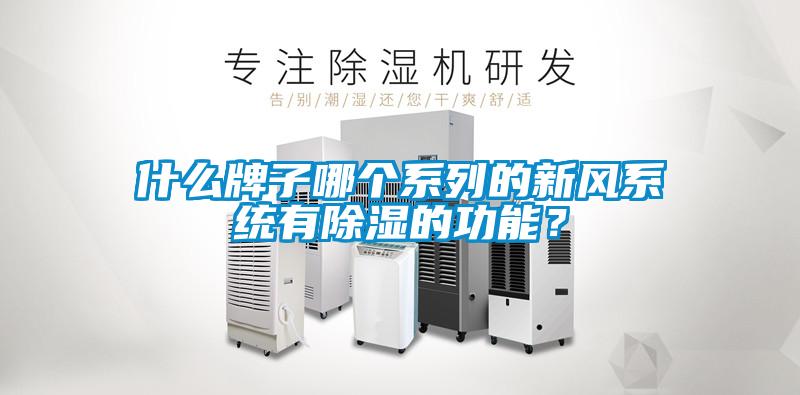 什么牌子哪個(gè)系列的新風(fēng)系統有除濕的功能？