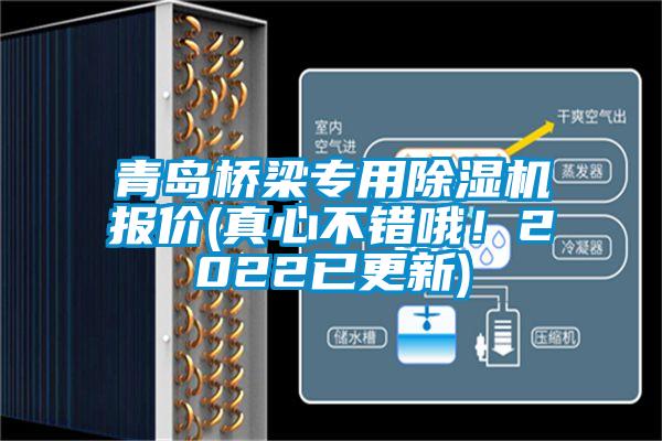 青島橋梁專(zhuān)用除濕機報價(jià)(真心不錯哦！2022已更新)