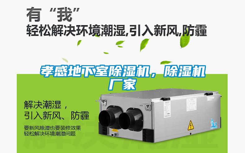 孝感地下室除濕機，除濕機廠(chǎng)家