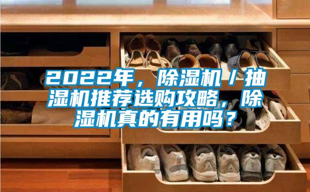2022年，除濕機／抽濕機推薦選購攻略，除濕機真的有用嗎？