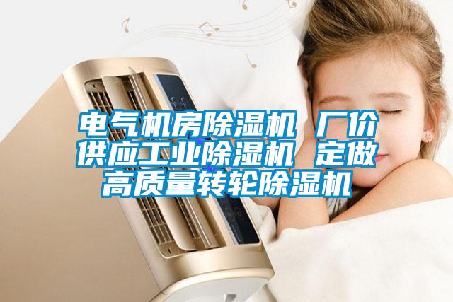 電氣機房除濕機 廠(chǎng)價(jià)供應工業(yè)除濕機 定做高質(zhì)量轉輪除濕機