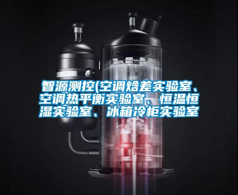 智源測控(空調焓差實(shí)驗室、空調熱平衡實(shí)驗室、恒溫恒濕實(shí)驗室、冰箱冷柜實(shí)驗室
