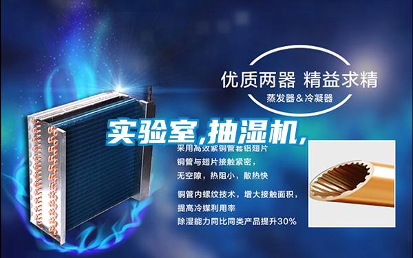 實(shí)驗室,抽濕機,