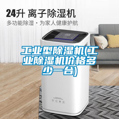 工業(yè)型除濕機(工業(yè)除濕機價(jià)格多少一臺)