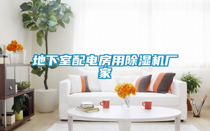 地下室配電房用除濕機廠(chǎng)家