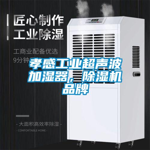 孝感工業(yè)超聲波加濕器，除濕機品牌