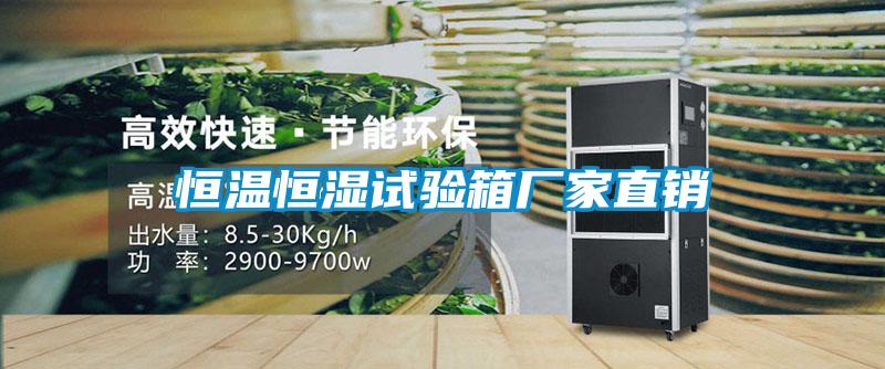恒溫恒濕試驗箱廠(chǎng)家直銷(xiāo)
