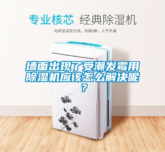 墻面出現了受潮發(fā)霉用除濕機應該怎么解決呢？