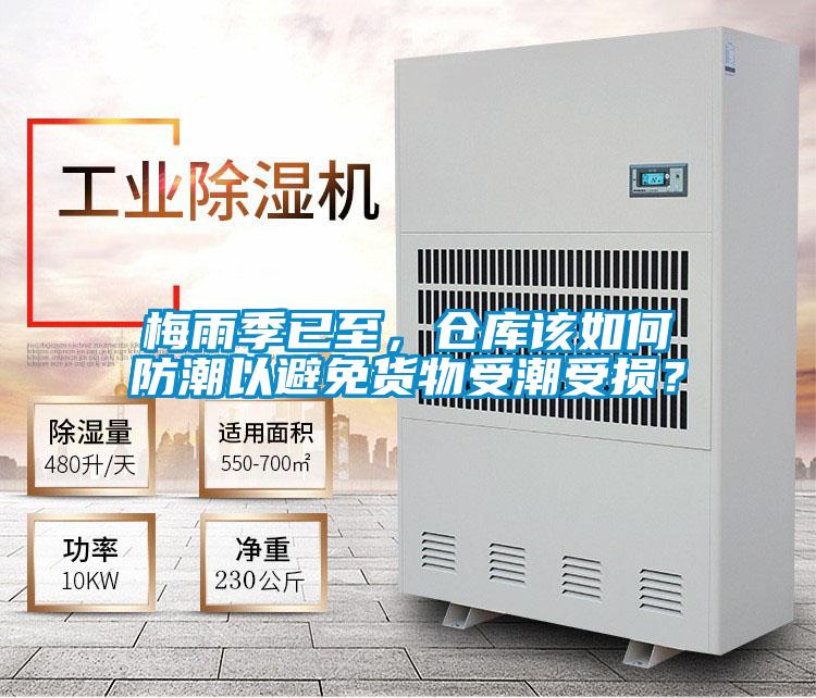 梅雨季已至，倉庫該如何防潮以避免貨物受潮受損？