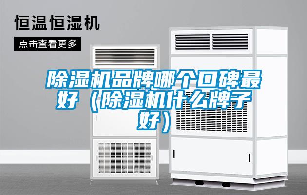 除濕機品牌哪個(gè)口碑最好（除濕機什么牌子好）